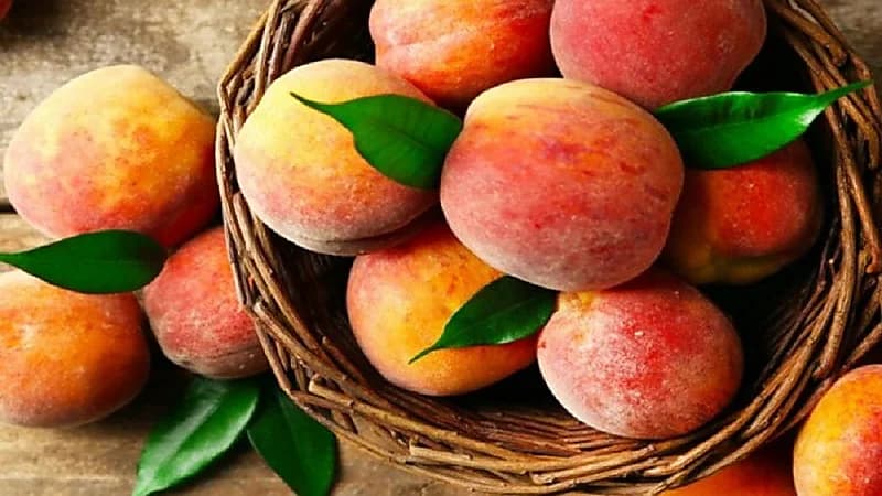 8 فوائد لتناول فاكهة الخوخ