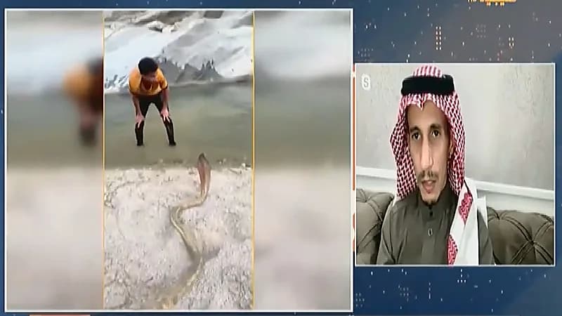 بالفيديو.. مواطن يروي كواليس ظهوره في مقطع متداول وهو يلاعب الكوبرا