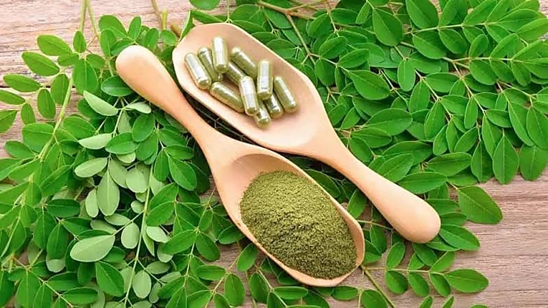 الغذاء والدواء: لا دراسات علمية تؤكد الادعاءات العلاجية لنبتة المورينغا