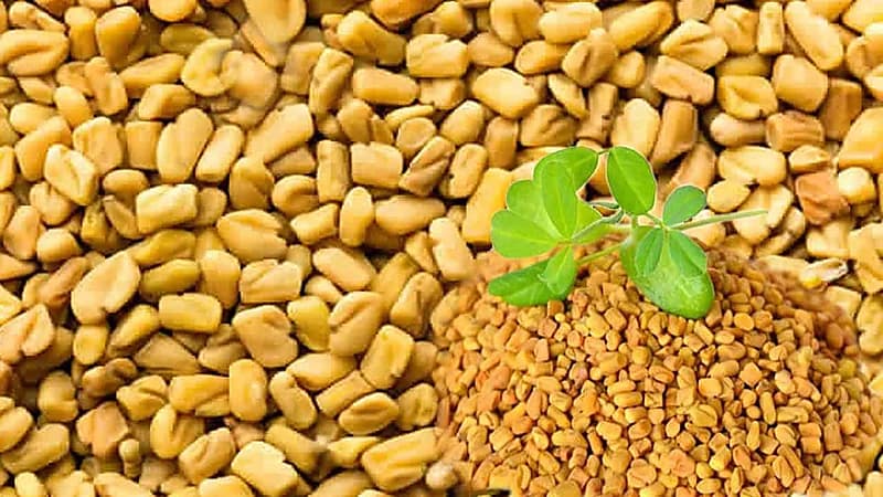 استشاري يحذر مرضى القلب من الحلبة